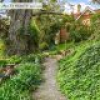 34 Auckland Street, Candelo, NSW 2550 AUS