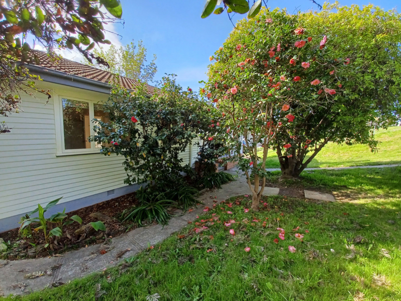 167 Newtown Road, Bega, NSW 2550 AUS