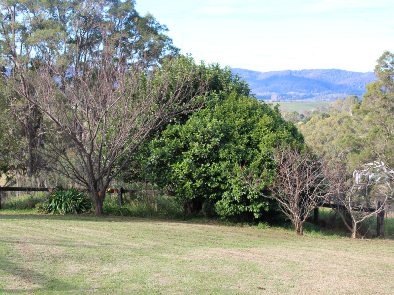 289 Coopers Gully Road, Coopers Gully, NSW 2550 AUS