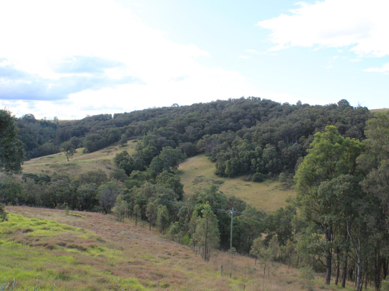 289 Coopers Gully Road, Coopers Gully, NSW 2550 AUS