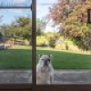 203 Hergenhans Lane, Bega, NSW 2550 AUS