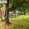 1464 Cobargo Bermagui Road, Cobargo, NSW 2550 AUS