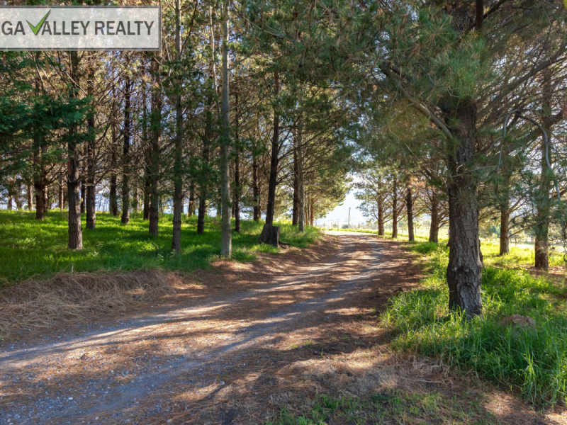 723 Sams Corner Road, Bemboka, NSW 2550 AUS