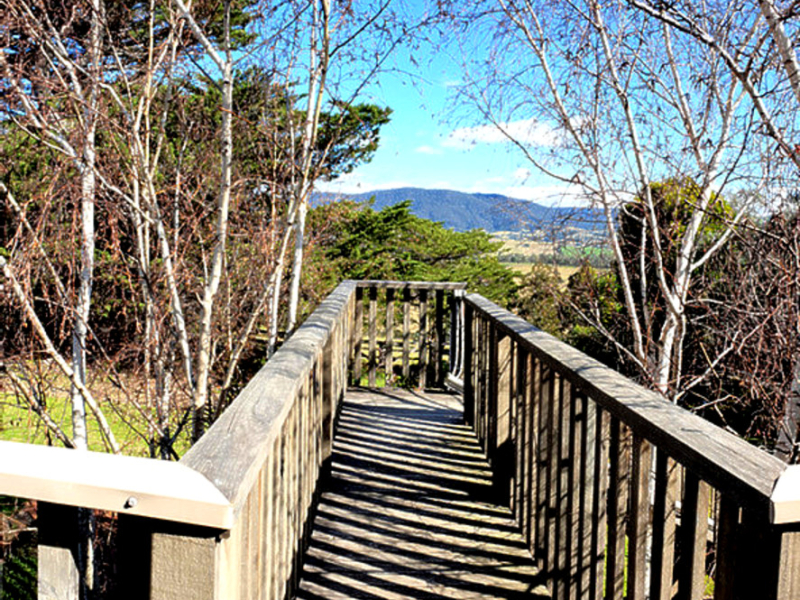 109 Slaters Lane, Candelo, NSW 2550 AUS