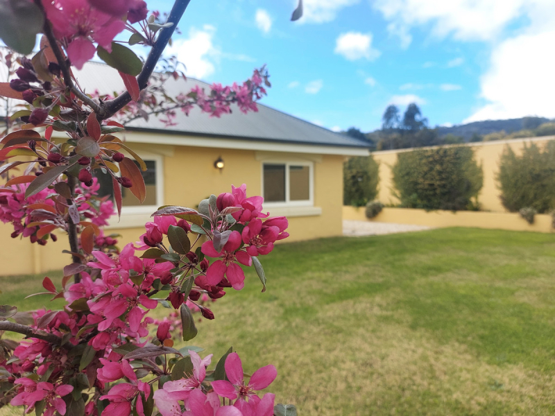 62 Murrays Flat Road, Doctor George Mountain, NSW 2550 AUS