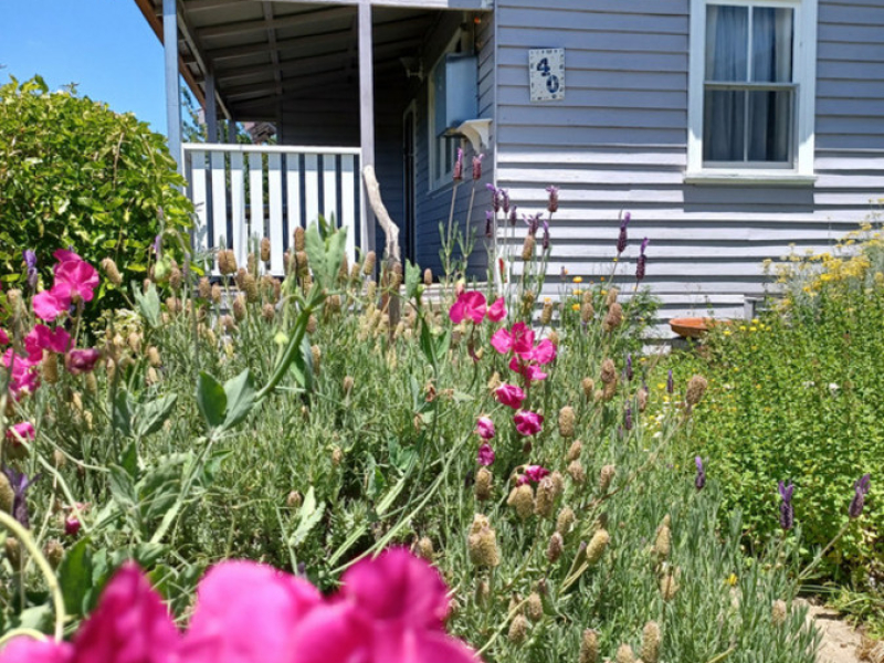 40 Auckland Street, Candelo, NSW 2550 AUS