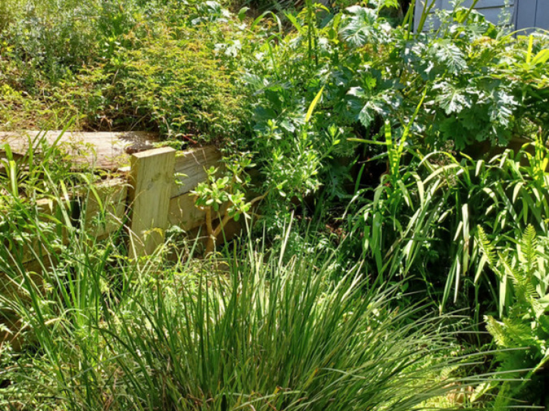 40 Auckland Street, Candelo, NSW 2550 AUS