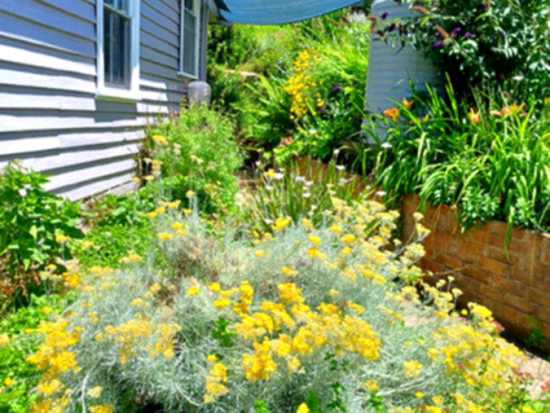 40 Auckland Street, Candelo, NSW 2550 AUS