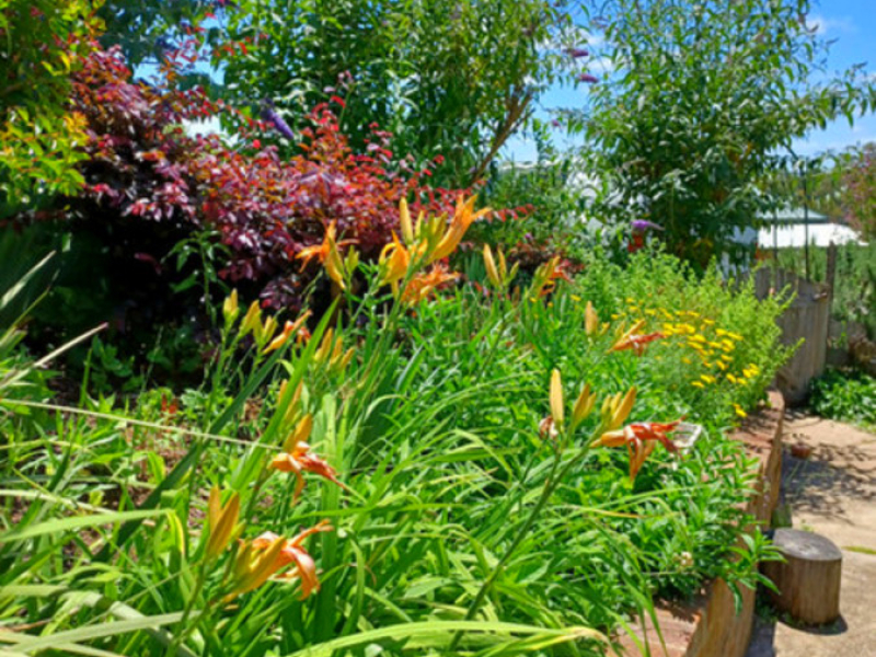 40 Auckland Street, Candelo, NSW 2550 AUS