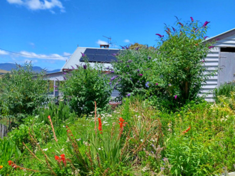 40 Auckland Street, Candelo, NSW 2550 AUS