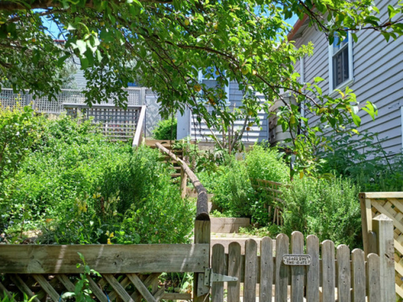 40 Auckland Street, Candelo, NSW 2550 AUS