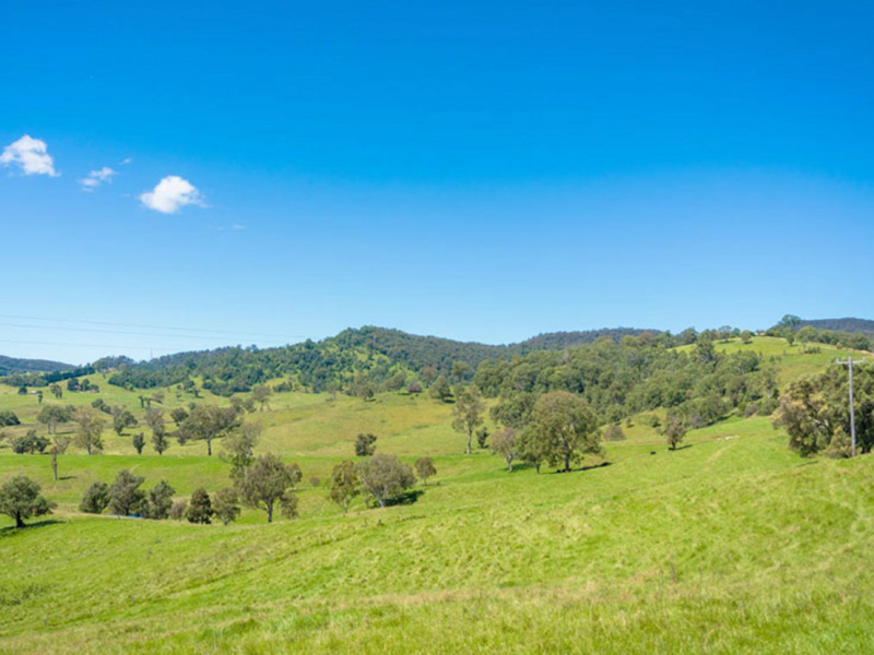 169 Cochranes Road, Wolumla, NSW 2550 AUS