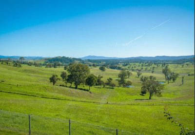169 Cochranes Road, Wolumla, NSW 2550 AUS