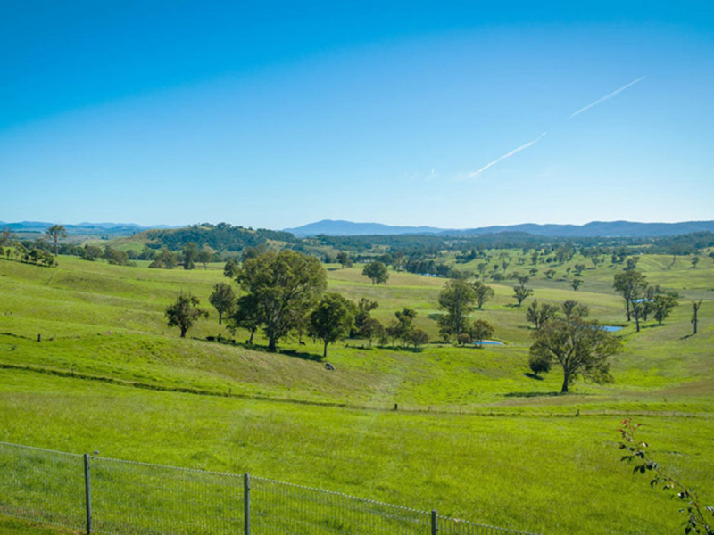 169 Cochranes Road, Wolumla, NSW 2550 AUS