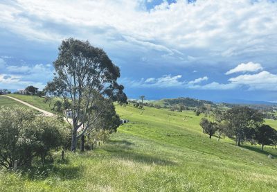 169 Cochranes Road, Wolumla, NSW 2550 AUS