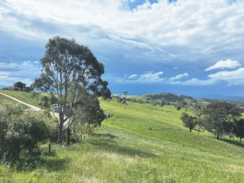 169 Cochranes Road, Wolumla, NSW 2550 AUS