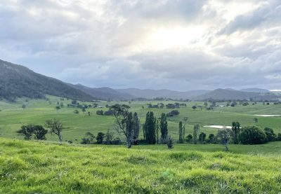 169 Cochranes Road, Wolumla, NSW 2550 AUS