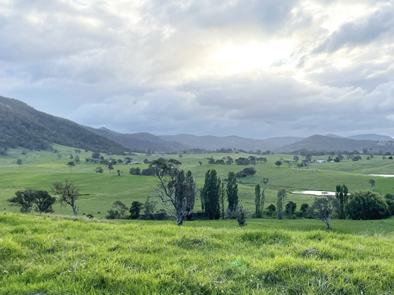 169 Cochranes Road, Wolumla, NSW 2550 AUS