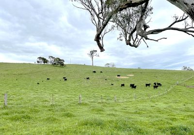 169 Cochranes Road, Wolumla, NSW 2550 AUS