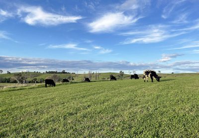 169 Cochranes Road, Wolumla, NSW 2550 AUS