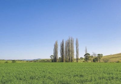 169 Cochranes Road, Wolumla, NSW 2550 AUS