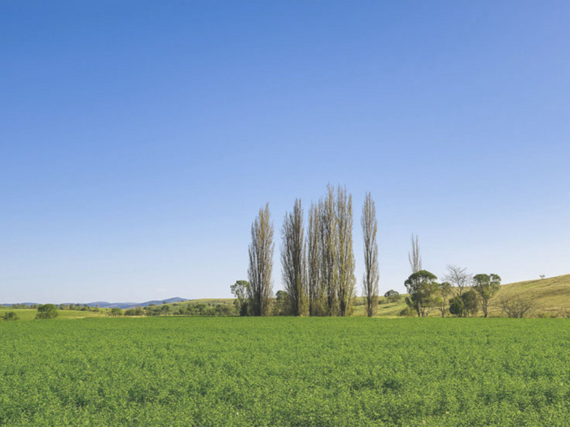 169 Cochranes Road, Wolumla, NSW 2550 AUS