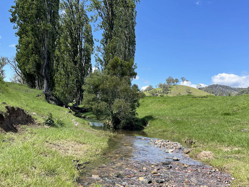 169 Cochranes Road, Wolumla, NSW 2550 AUS