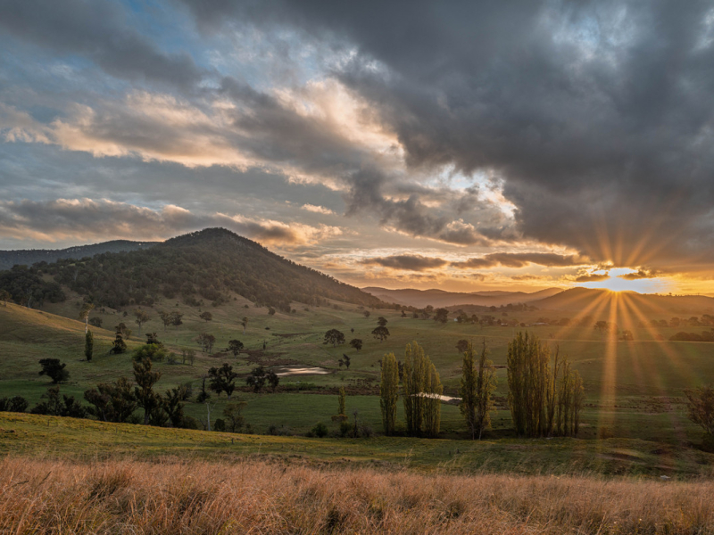 169 Cochranes Road, Wolumla, NSW 2550 AUS