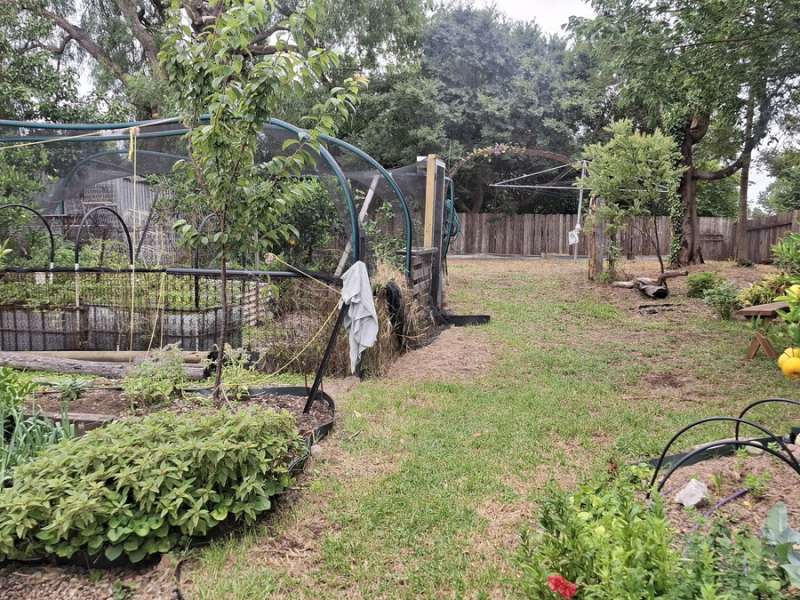 7 Girraween Crescent, Bega, NSW 2550 AUS