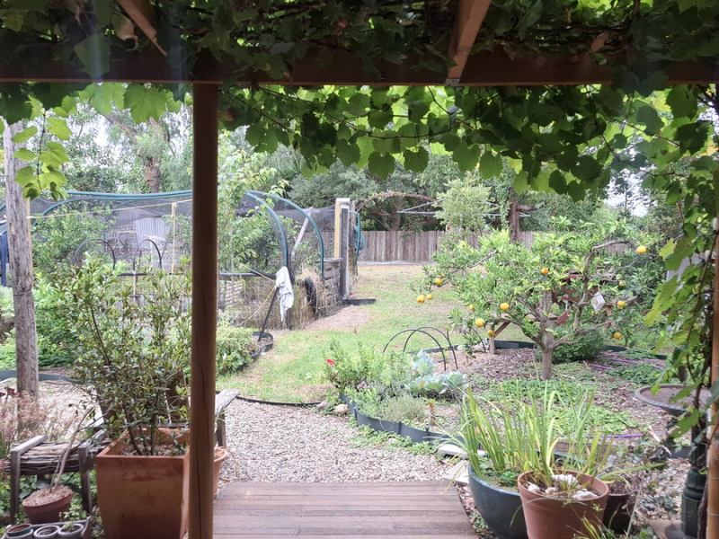 7 Girraween Crescent, Bega, NSW 2550 AUS