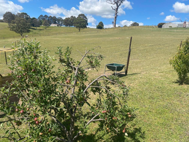 9 Box  Close, Bega, NSW 2550 AUS