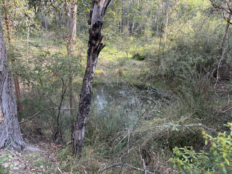 1300 Sapphire Coast Drive, Wallagoot, NSW 2550 AUS