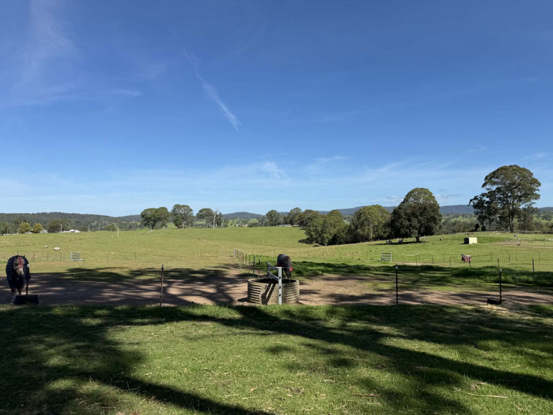 46 Jersey Place, Cobargo, NSW 2550 AUS