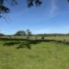 46 Jersey Place, Cobargo, NSW 2550 AUS