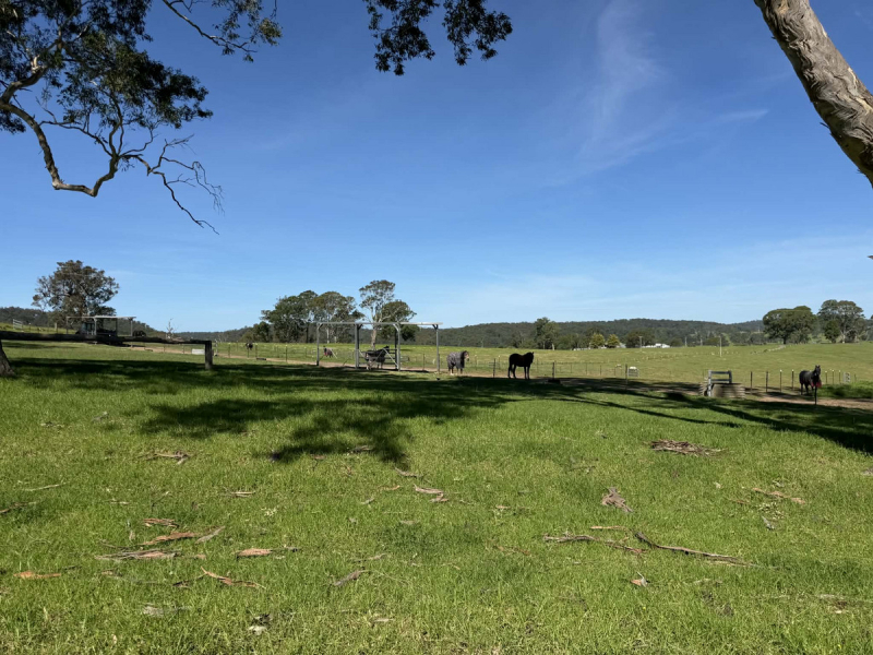 46 Jersey Place, Cobargo, NSW 2550 AUS