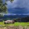 132 Clarkes Road, Greendale, NSW 2550 AUS