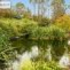 19 Broad Street, Bemboka, NSW 2550 AUS