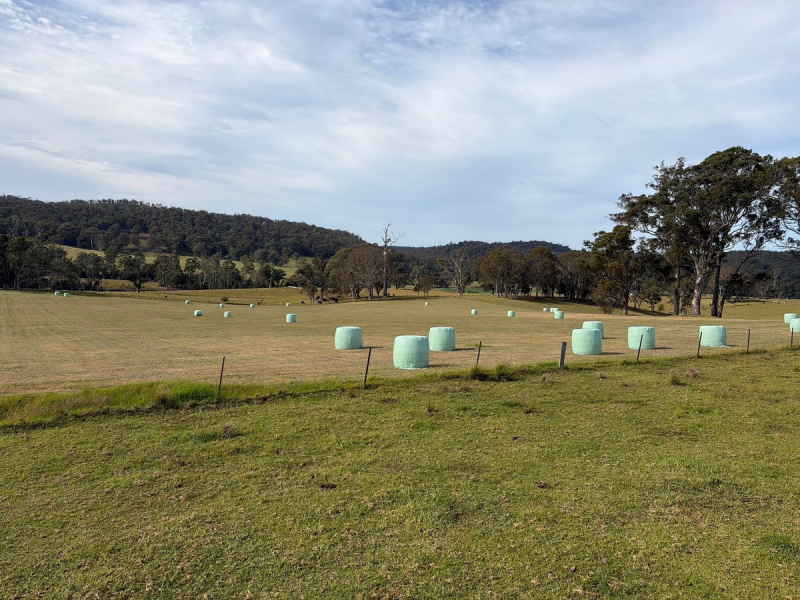 46 Jersey Place, Cobargo, NSW 2550 AUS