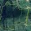 46 Jersey Place, Cobargo, NSW 2550 AUS
