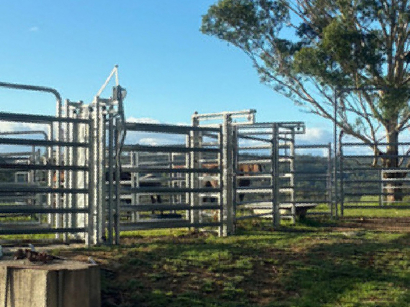 46 Jersey Place, Cobargo, NSW 2550 AUS