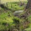 46 Jersey Place, Cobargo, NSW 2550 AUS
