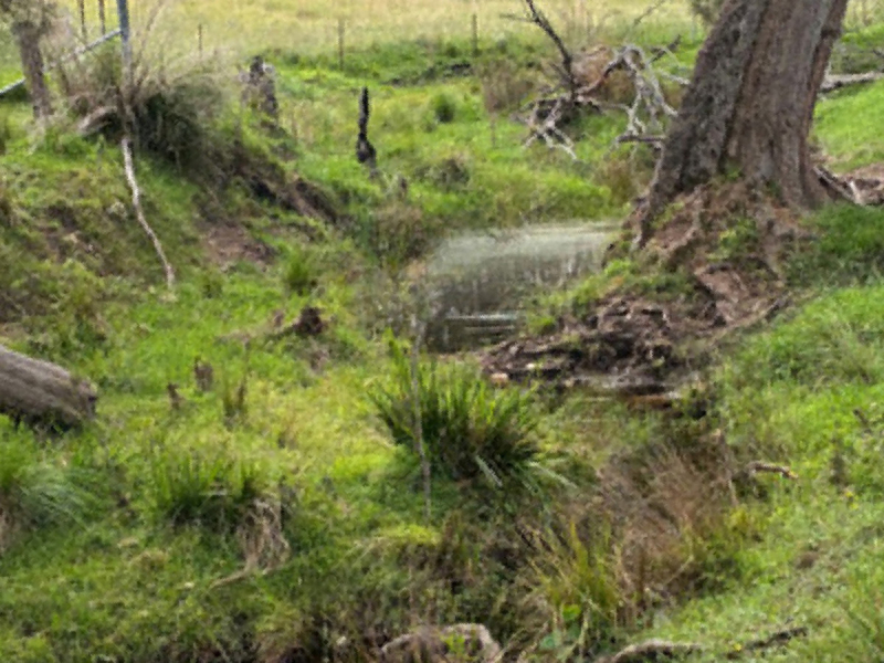 46 Jersey Place, Cobargo, NSW 2550 AUS