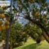 81 Yowrie Road, Wandella, NSW 2550 AUS