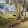 81 Yowrie Road, Wandella, NSW 2550 AUS