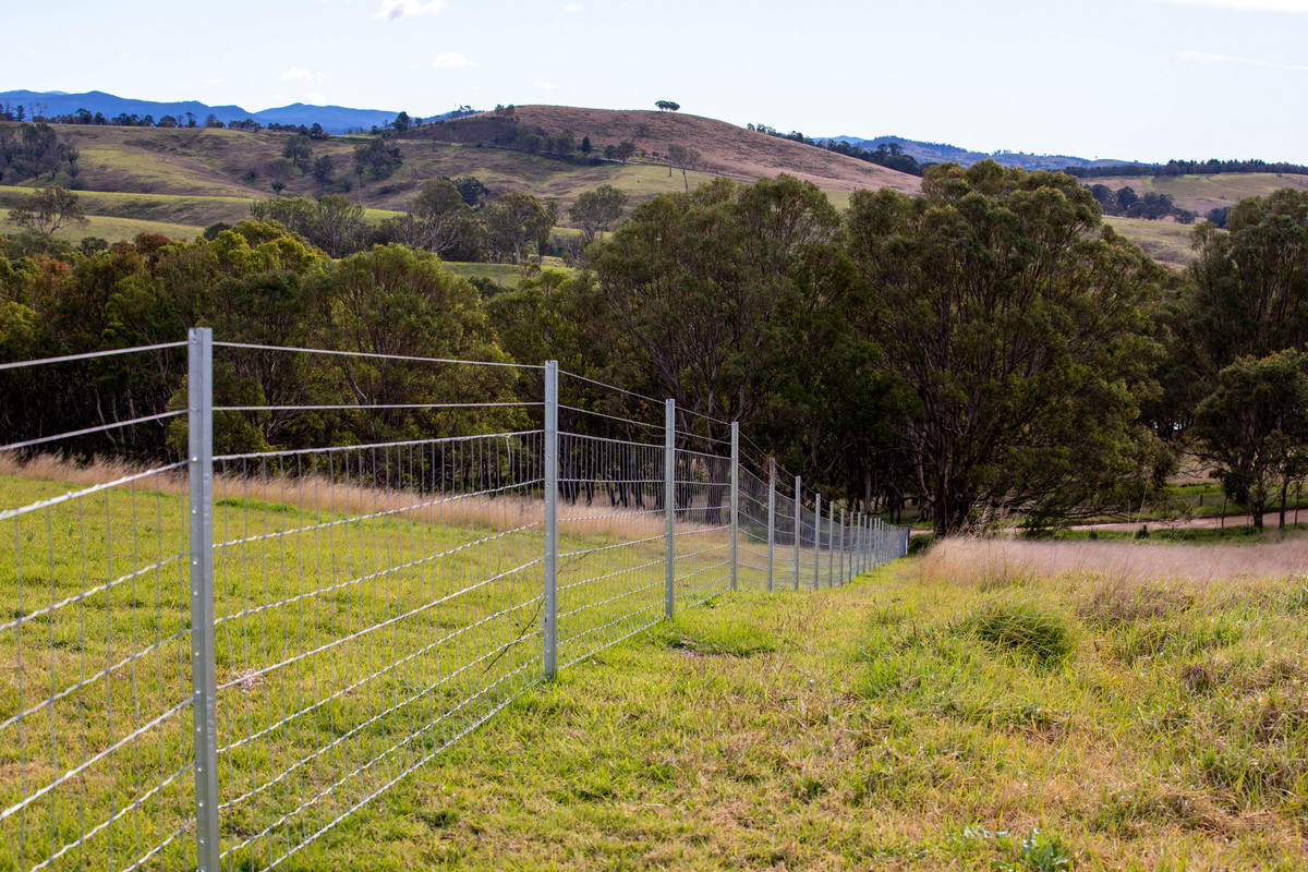Lot 402 South Wolumla Road, Candelo - Thumbnail 7