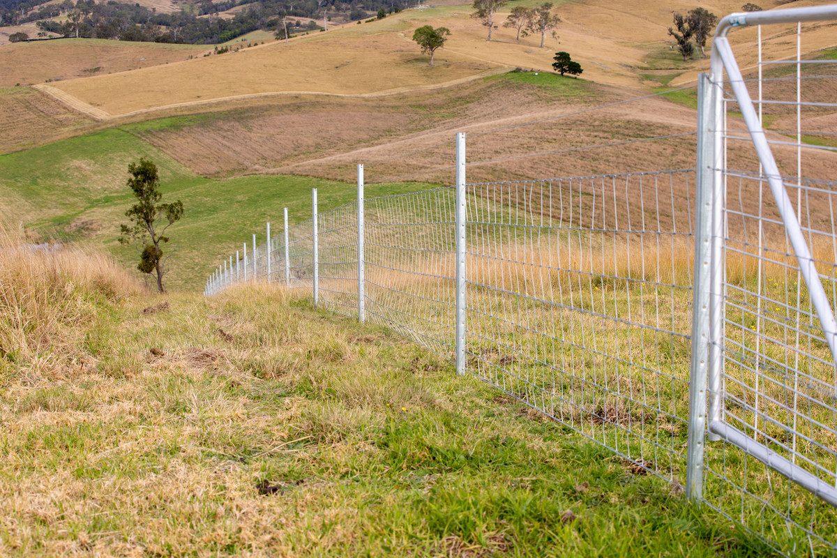 Lot 402 South Wolumla Road, Candelo - Thumbnail 6