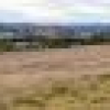 Lot 402 South Wolumla Road, Candelo, NSW 2550 AUS