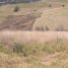 Lot 402 South Wolumla Road, Candelo, NSW 2550 AUS