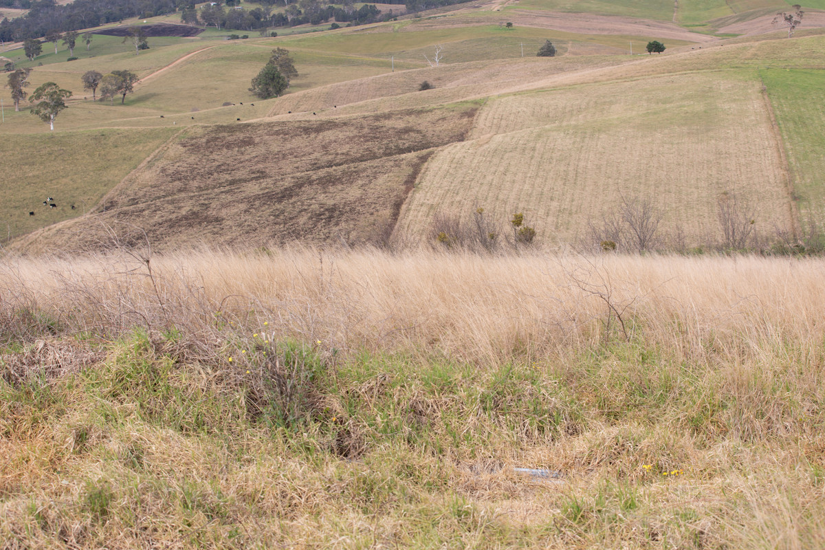 Lot 402 South Wolumla Road, Candelo - Thumbnail 3