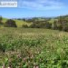 418 Peak Hill Road, Bega, NSW 2550 AUS